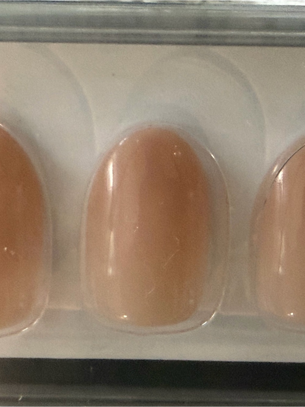 Neutral Nude Press-On Nails - Classic Nude Shade